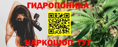 крисы Кимры