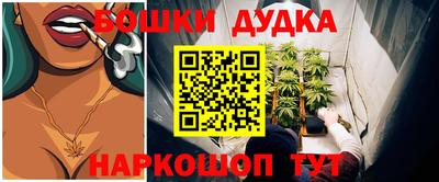 apvp Кингисепп
