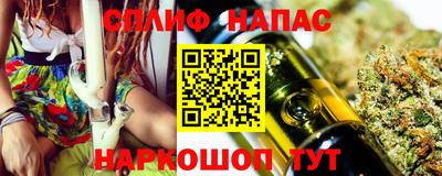 стафф Кинель