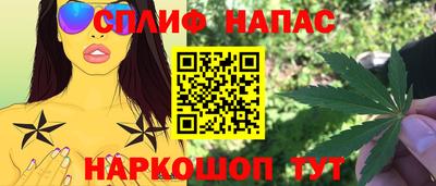 стафф Кинель