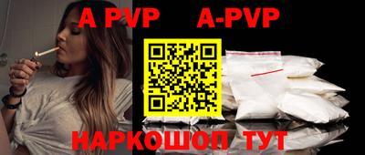 apvp Кингисепп