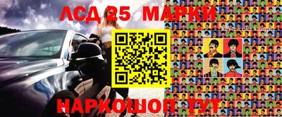 apvp Кингисепп
